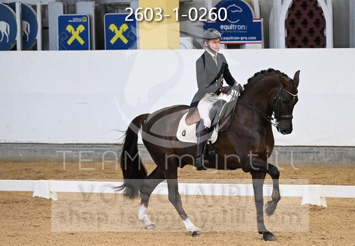 02.06-08 Stadl-Paura CDN-A*