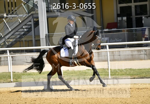 05.29-31 Stadl-Paura CDN-A*