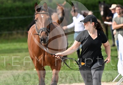 09.02-06 Gut Ising CSI**
